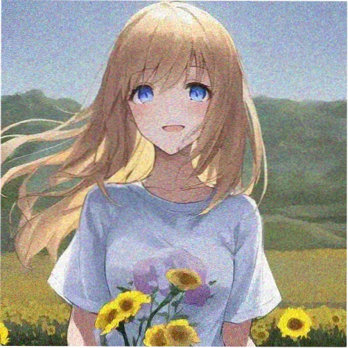 番剧收藏家
